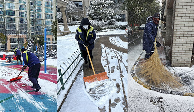 浴“雪”奋战，美禾环境扫雪除冰在行动